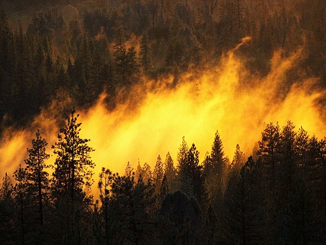 Feature image Incendie