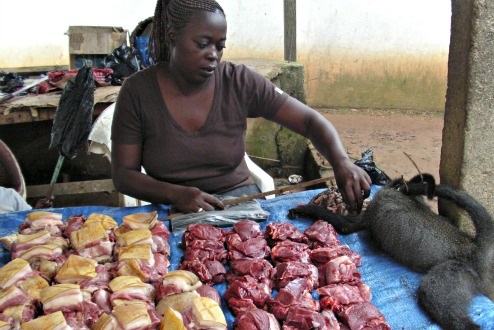 viande_de_boru