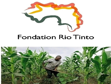 Fondation Rio Tinto