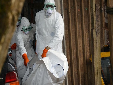 Des volontaires transportant des corps de victimes d'Ebola