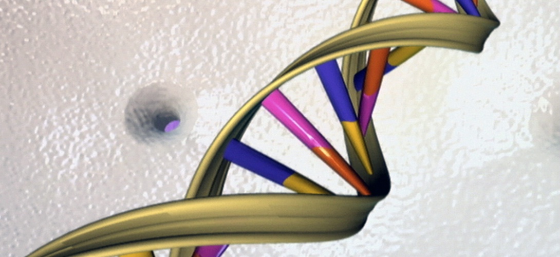 adn_3