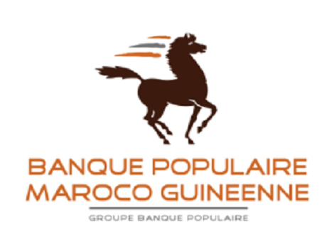 bpmg_2
