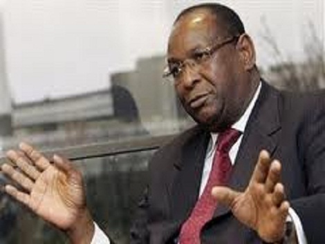 Lansana Kouyaté, Leader du PEDN