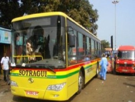 bussotragui-300x190
