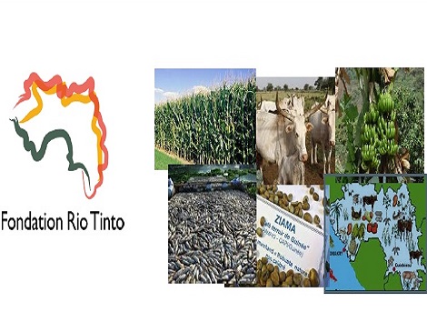 Feature image communique_rio_tinto