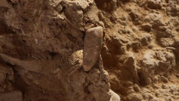 une-dent-humaine-vieille-de-550-000-ans-11442122kmxbm_1713