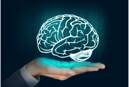Feature image avoir-un-gros-cerveau-serait-un-desavantage_exact441x300