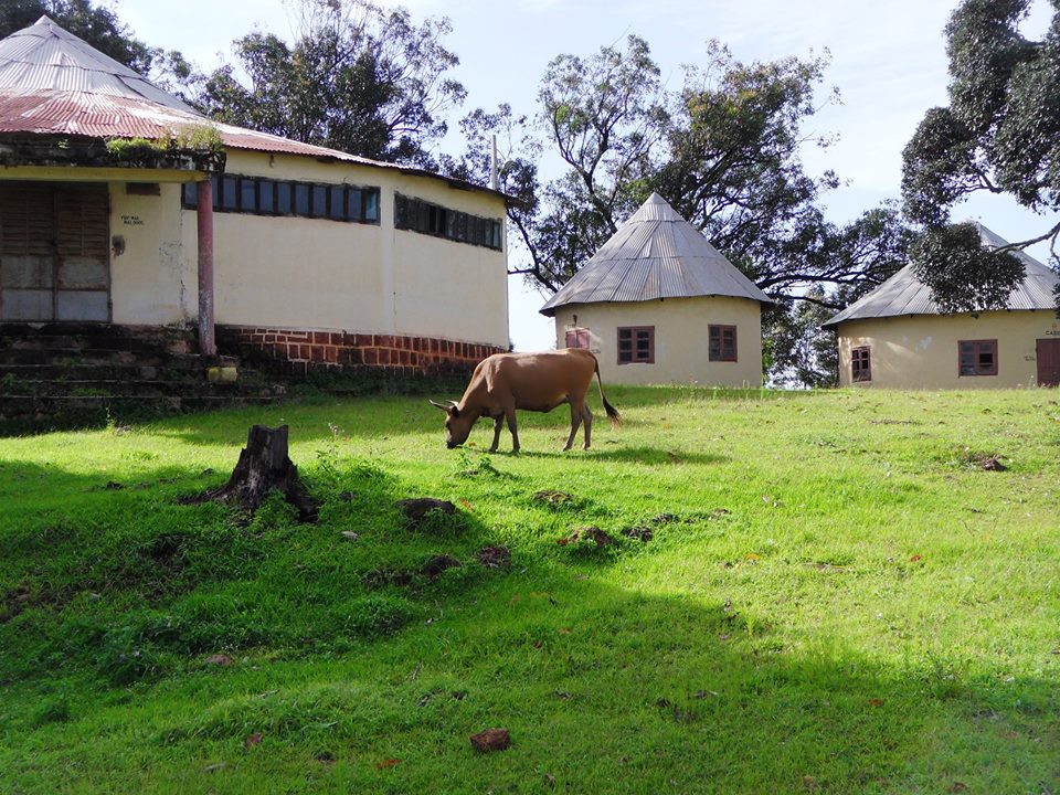 Feature image La villa des hôtes dans la préfecture de Mali-Africaguinee.com