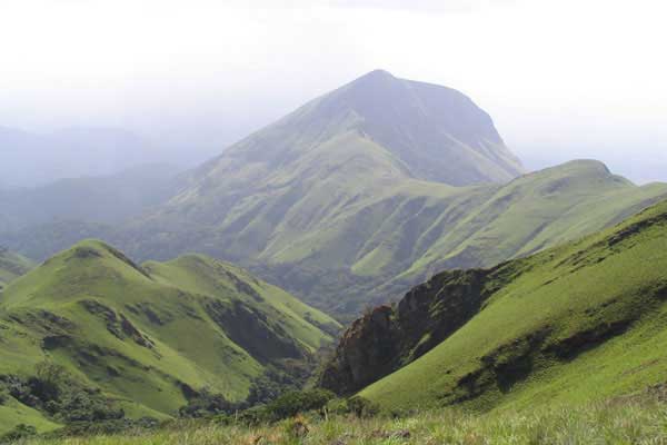Feature image nimba