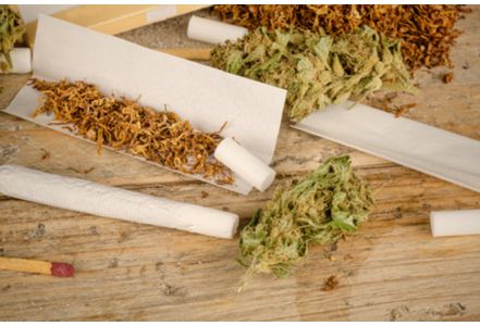 Feature image Cannabis