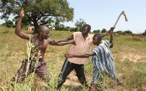 Feature image conflits-agriculteurs-eleveurs