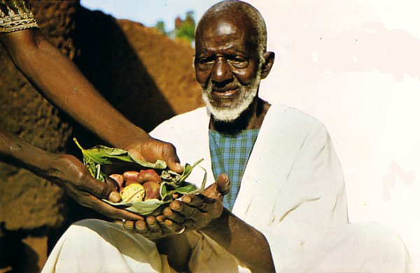 Feature image Un vieil homme africain avec des noix de colas-Images d'illustration