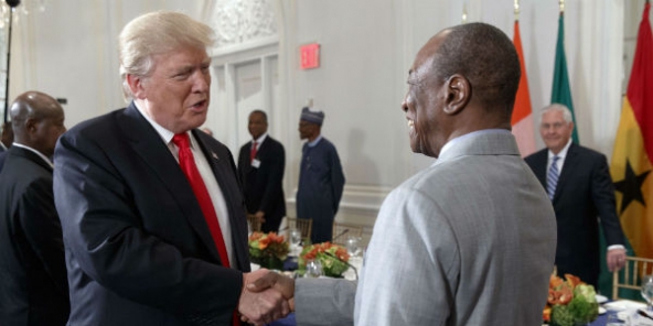 Feature image trump-alpha