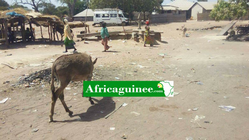 Feature image Un village à la frontière entre la Guinée et le Sénégal