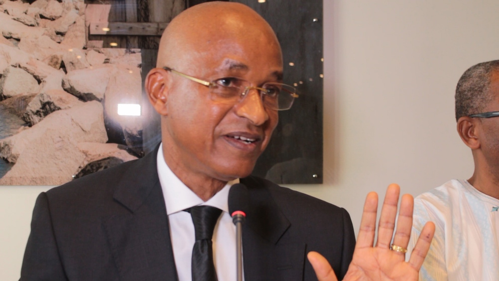 Cellou Dalein Diallo, Chef de file de l'opposition guinéenne