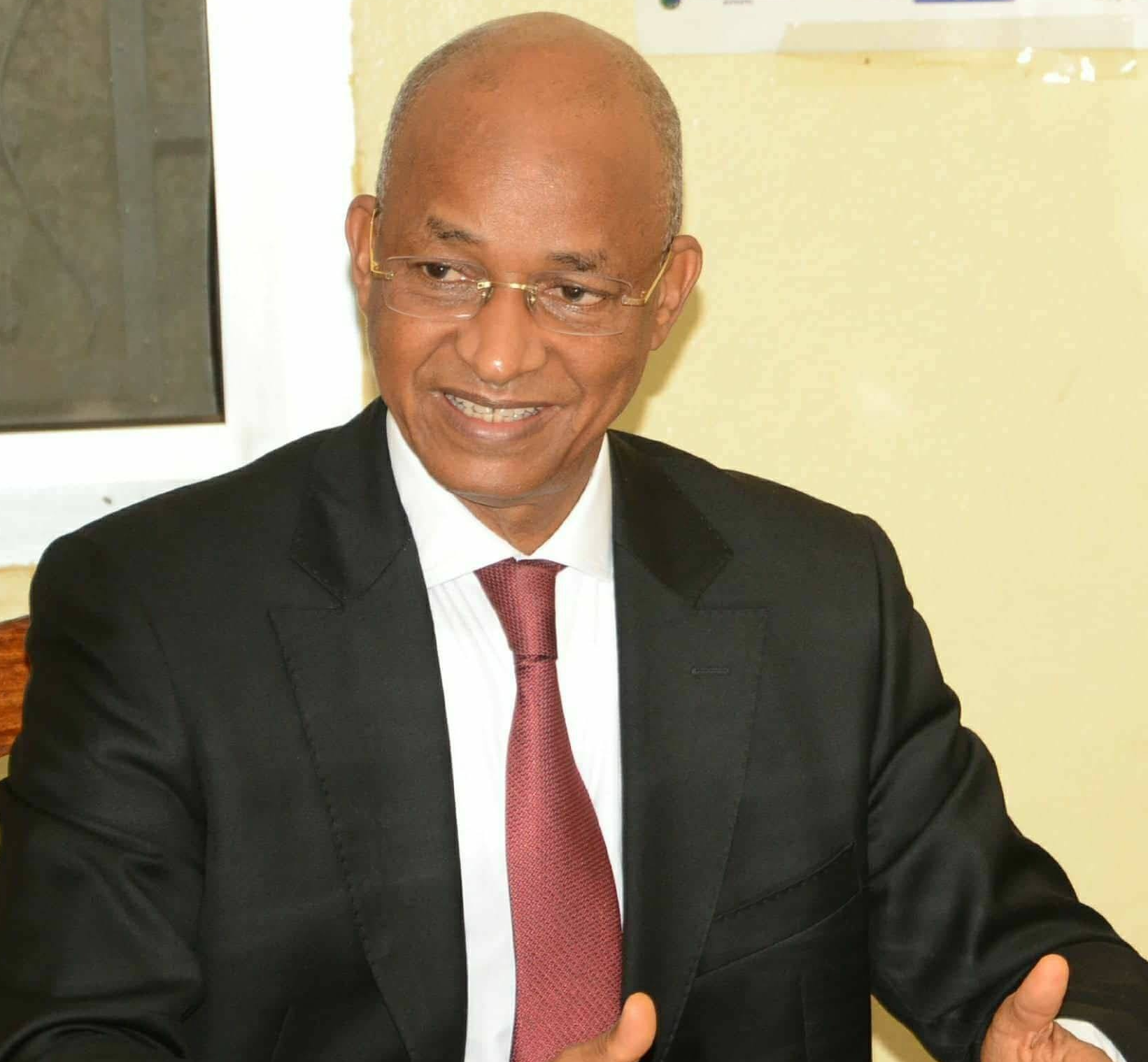 Cellou Dalein Diallo leader de l'UFDG (Guinée)