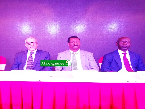 Le ministre Taliby Sylla et les partenaires du Gouvernement guinéen