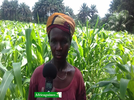 Feature image djenaba_sande_agricultrice_a_tanboni_kalaboui