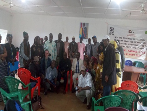 Feature image Ateliers régionaux de formation pour la mise en place des coopératives et de vulgarisation des documents de projet fonio dans les régions de N’Zérékoré, Kankan, Labé