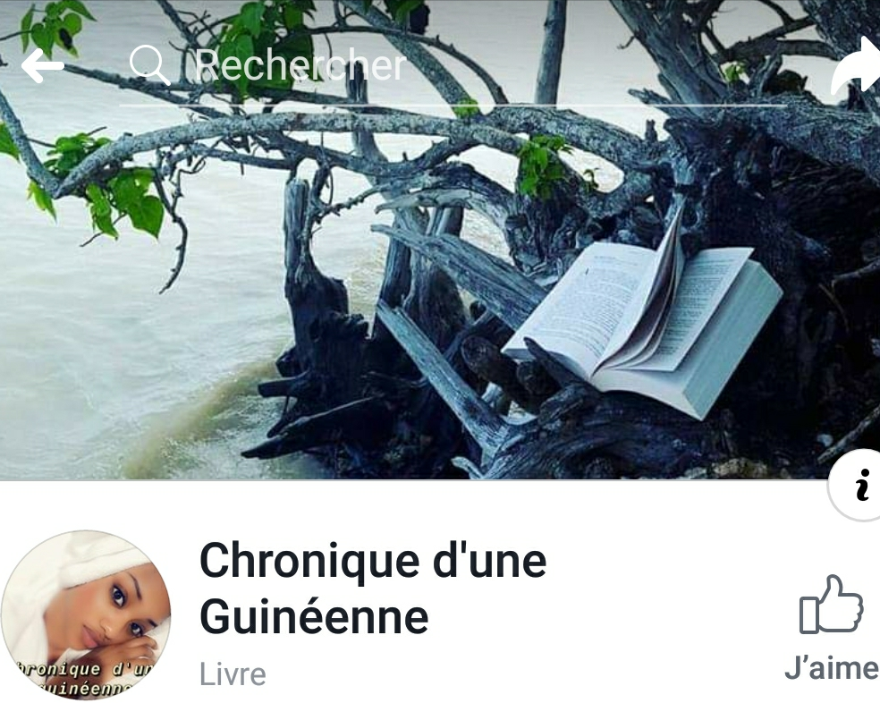Chronique d'une guinéenne