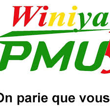 pmu_winiya