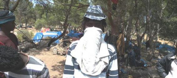 Des migrants subsahariens bloqués dans la forêt de Nador au Maroc