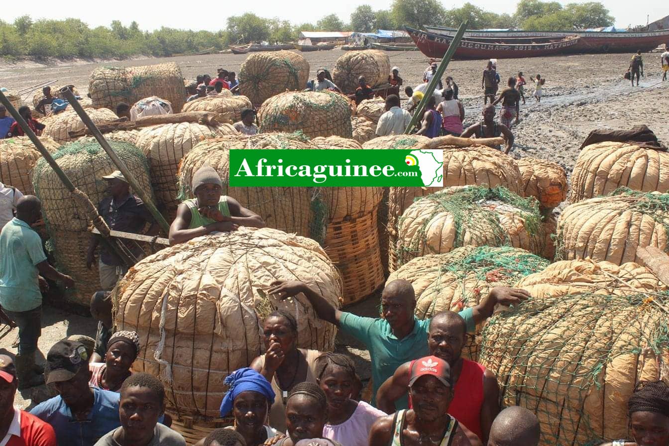 79120099_2426269864356830_1900926635146739712_n