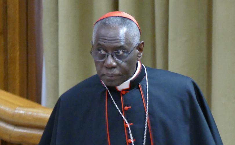 Le Cardinal Robert Sarah