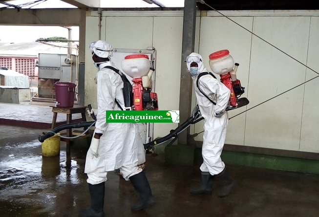 Coronavirus en Guinée