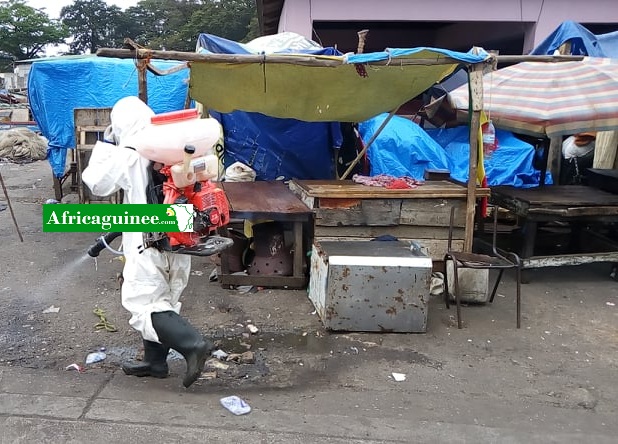 Coronavirus en Guinée