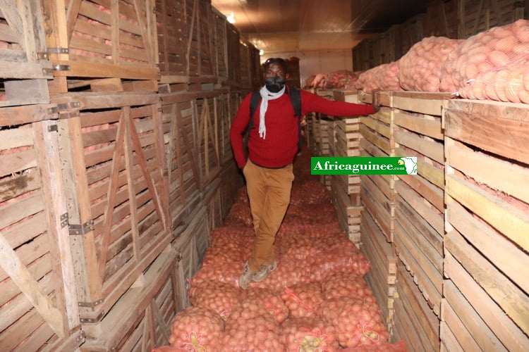 Immersion dans la filière pomme de terre de Timbi Madina