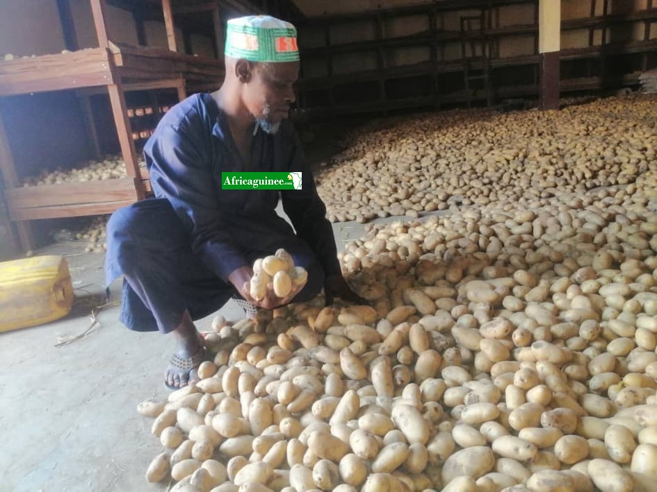 Un agriculteur dans son stock de récolte