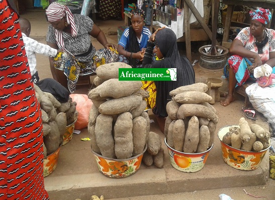 Des vendeuses d'ignames au marché de Kankan