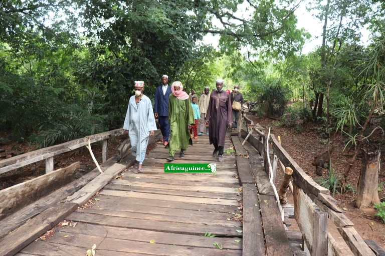 Pont en bois construit sur le fleuve Dimma, point d'entrée du village de Kiri