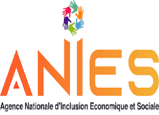 Feature image Logo ANIES