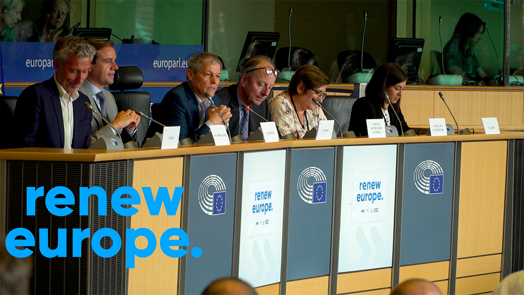 Des eurodéputés membre du groupe Renew  Europe