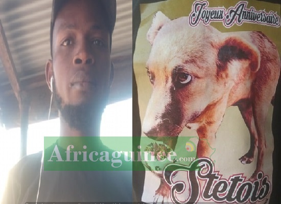 Feature image Malik Le Boss et son chien
