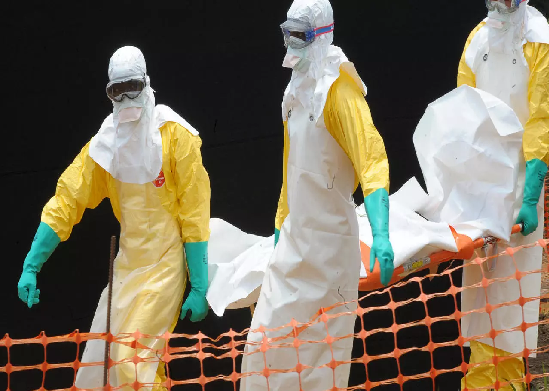 Ebola en Guinée