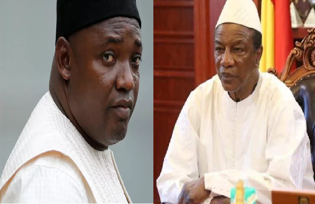 Adama Barrow et Alpha Condé, photomontage Africaguinee.com