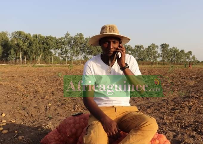 Elhadj Amadou Barry dans son champ de pomme de terre