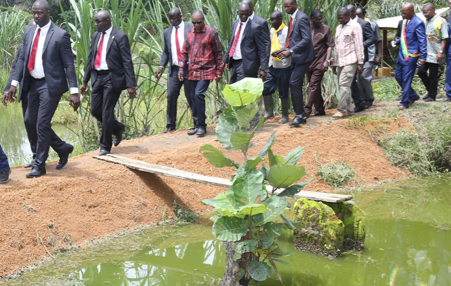 Feature image Le président Alpha Condé en visite dans des champs agricoles, image d'archives