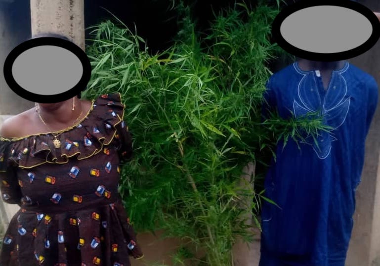 Des individus arrêtés pour trafic de drogue à Hindé