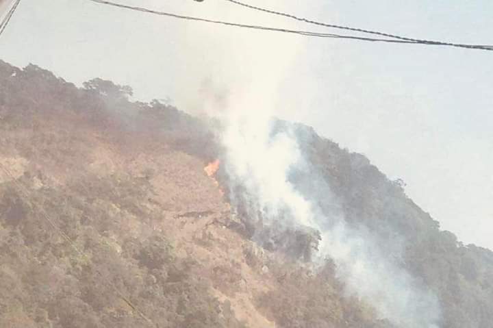 Feature image Incendie à la forêt classée de Ziama