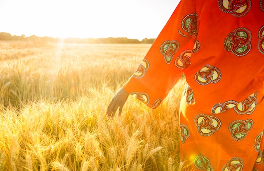 Feature image agri