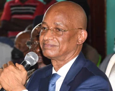 Cellou Dalein Diallo, leader de l'UFDG