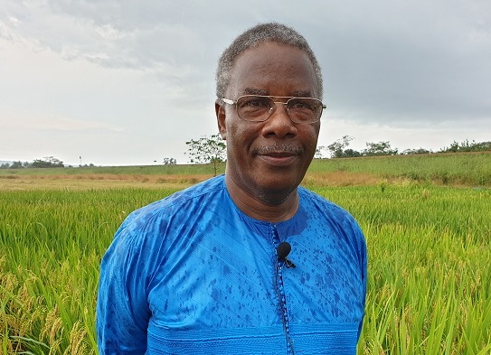 Mamadou Bobo Diallo dit "Bobo Denken"
