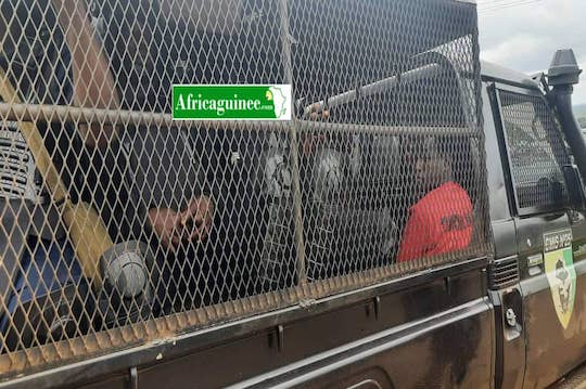 Des manifestants arrêtés et embarqués à bord d'un pickup de la police