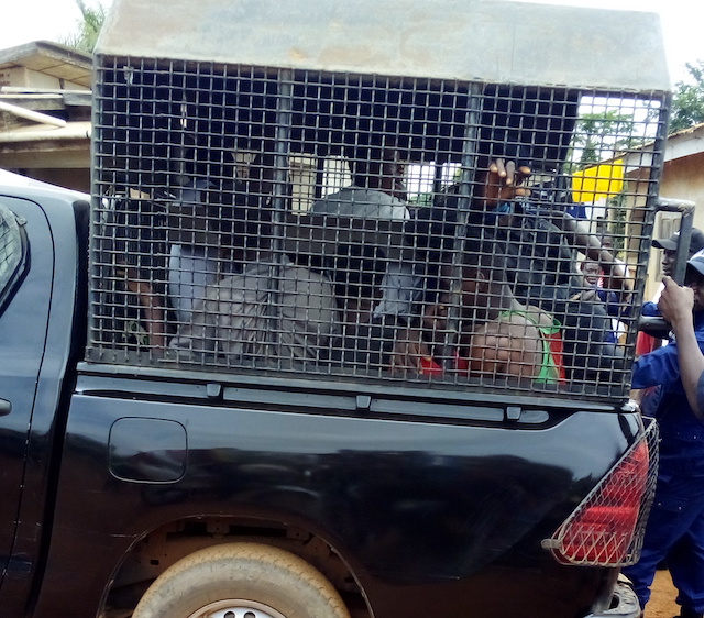 Des jeunes arrêtés à N'Zérékoré, image d'archive