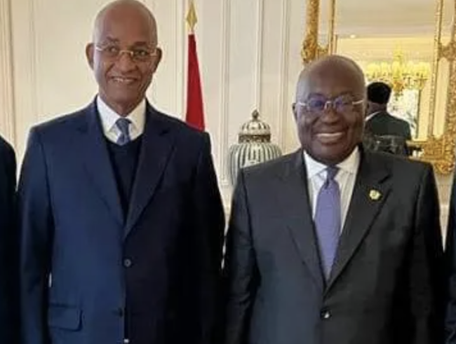 Feature image Cellou Dalein Diallo et Nana Akufo Addo