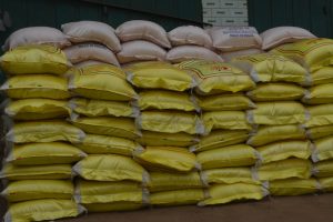 LafargeHolcim Guinée offre des denrées alimentaires aux populations riveraines de son usine